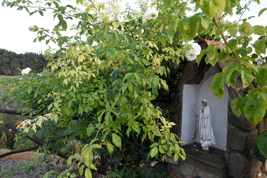Agriturismo La Casuccia Castelfranco di Sopra Eksteriør billede