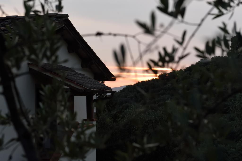 Agriturismo La Casuccia Castelfranco di Sopra Eksteriør billede